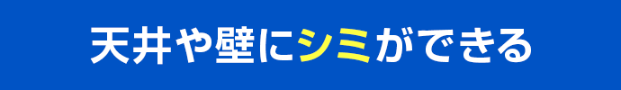 天井や壁にシミができる